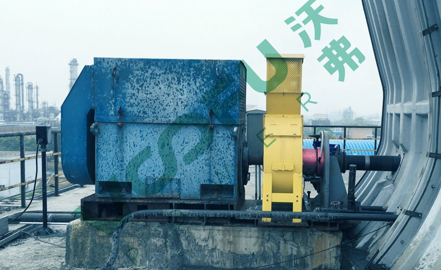 必赢电子娱乐